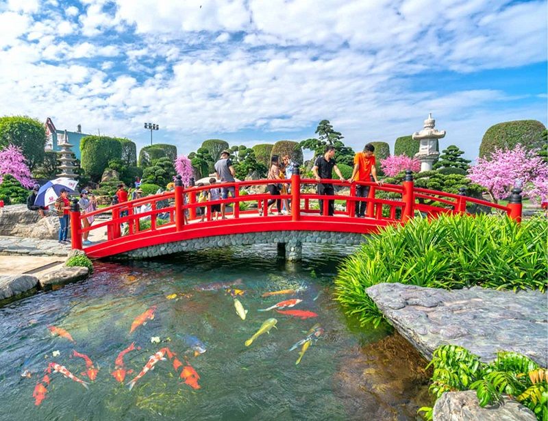 Tham quan: Trại bò sữa / Koi / Cá dĩa 